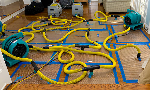 Professional Water Damage Repair technician working in Krum, TX